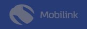 IT Sales Training and Sales Recruiting Client Mobilink Egypt