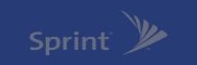IT Sales Training and Sales Recruiting Client Sprint USA